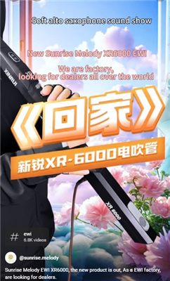 Melody Sunrise XR6000 Cerddoriaeth Sacsoffon Chwythbrennau Yn Rhan O Fywyd